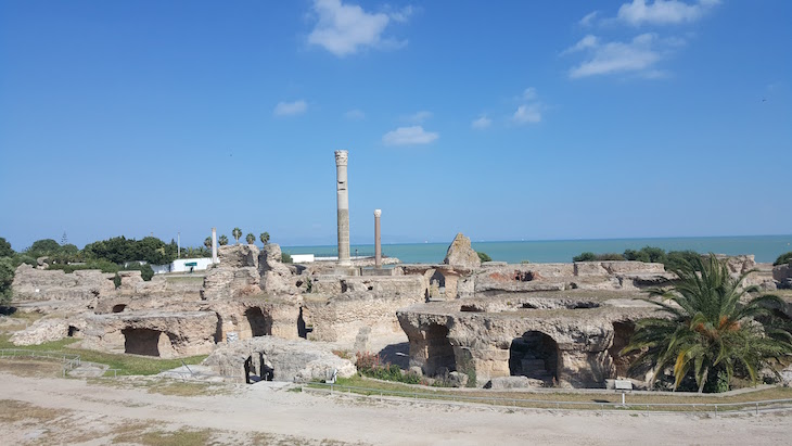 Ruínas de Cartago, Tunisia © Viaje Comigo