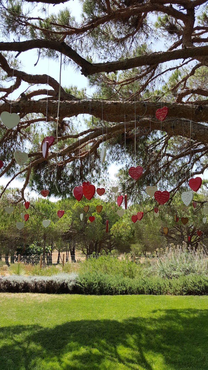 Árvore do Amor no Epic Sana Algarve © Viaje Comigo