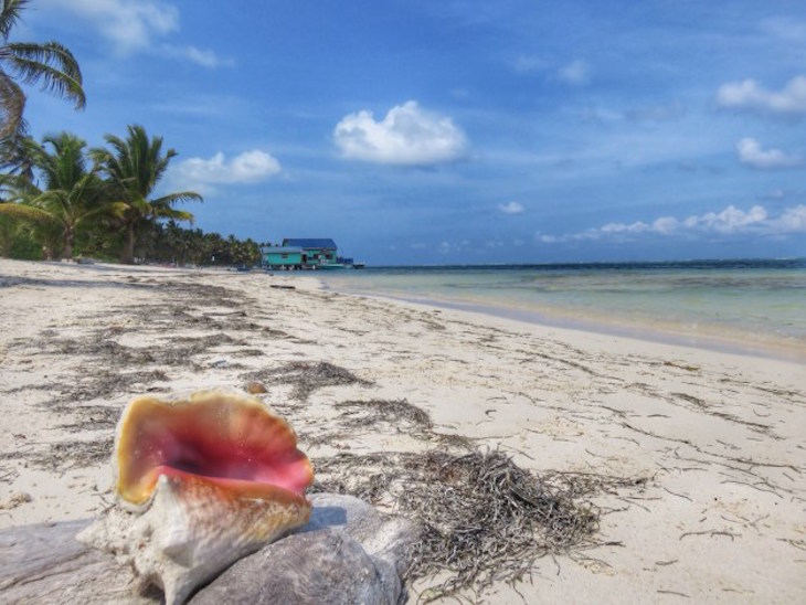 Belize © Rebecca Countant