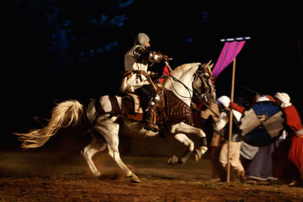 Viagem Medieval em Terra de Santa Maria - DR