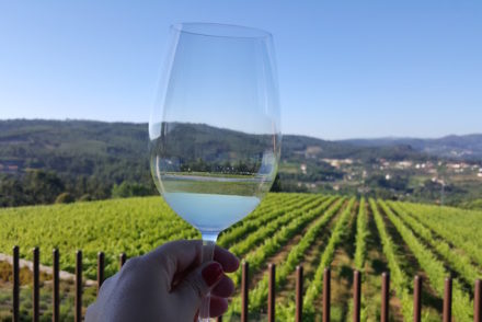 Vinho verde da Quinta da Lixa no Monverde Hotel © Viaje Comigo