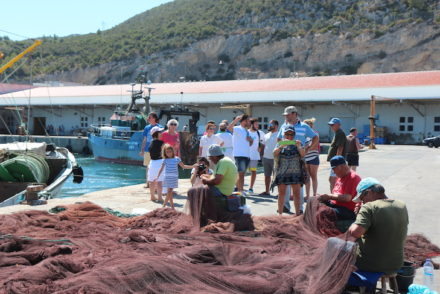 Visitas Lota Sesimbra - Direitos Reservados Sesimbra é Peixe