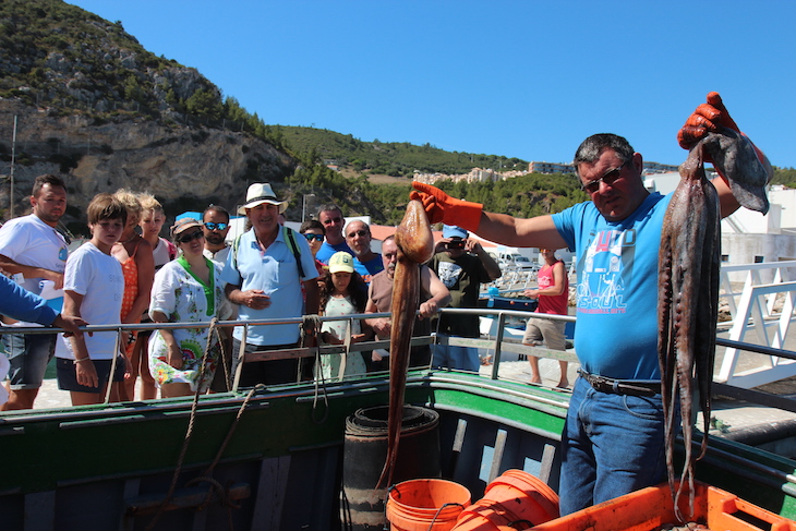 Visitas à Lota Sesimbra - Direitos Reservados Sesimbra é Peixe