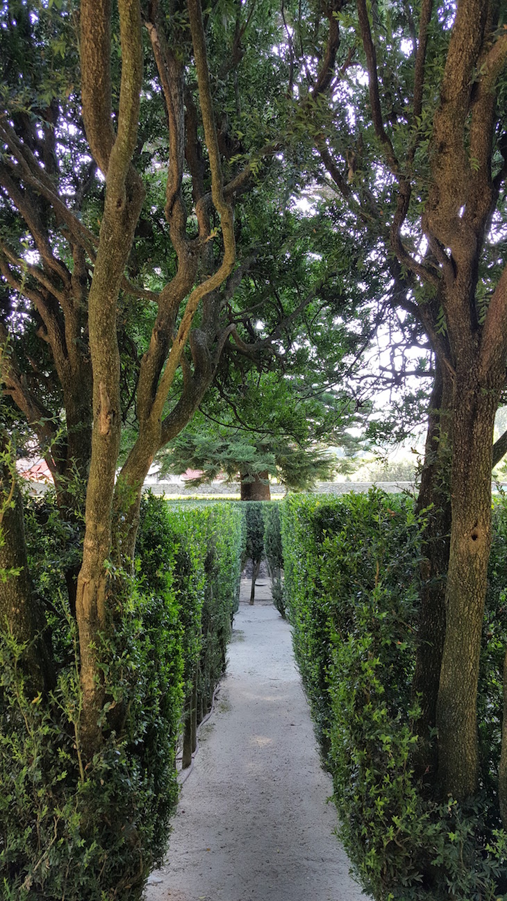 Entrada no labirinto da Casa e Quinta da Prelada © Viaje Comigo®