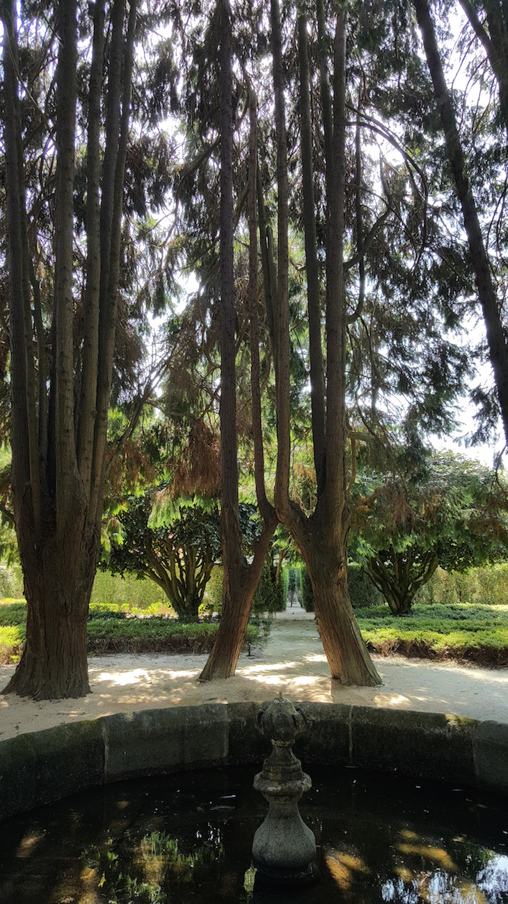 Lago na Casa e Quinta da Prelada © Viaje Comigo®