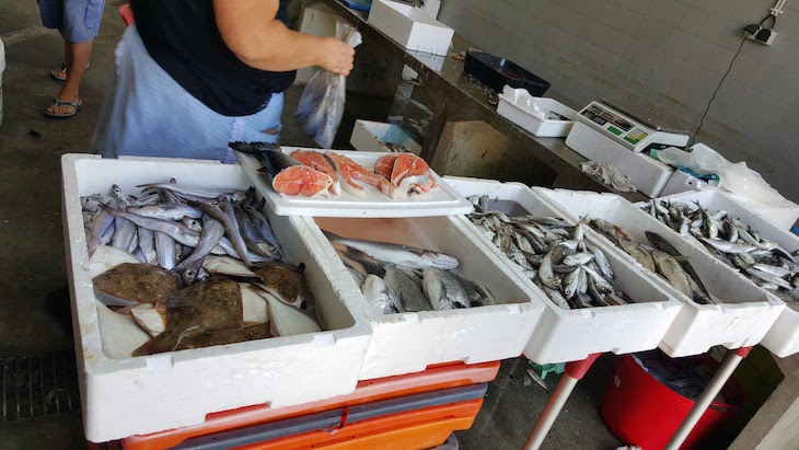 Peixe no Mercado da Afurada, Vila Nova de Gaia © Viaje Comigo