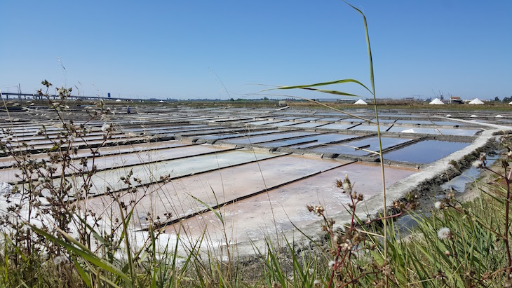 Cale do Oiro - Salinas de Aveiro © Viaje Comigo