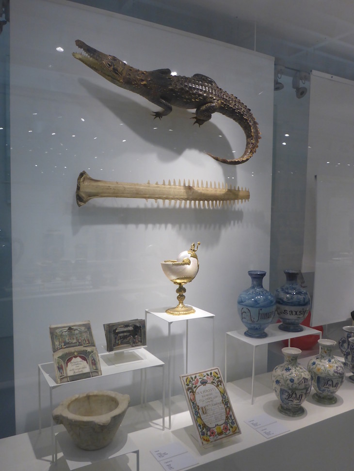 Crocodilo no Museu da Farmácia © Viaje Comigo
