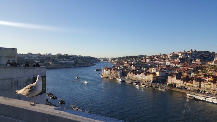 Vista para o Rio Douro, Ponte Luis I, Porto © Viaje Comigo