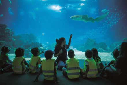 Oceanário de Lisboa - Pedro A. Pina DR