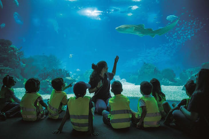 Oceanário de Lisboa - Pedro A. Pina DR