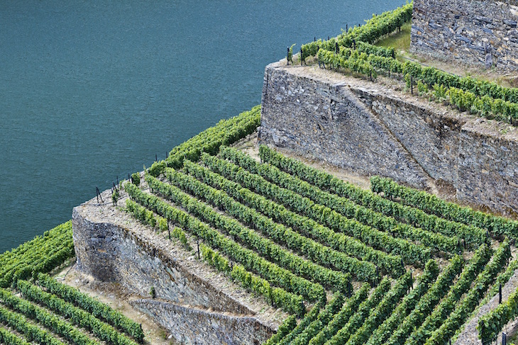 Quinta de La Rosa - Douro - DR