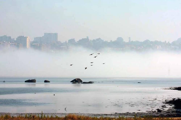 Nevoeiro no Estuário do Douro © Maria Oswalda Rego