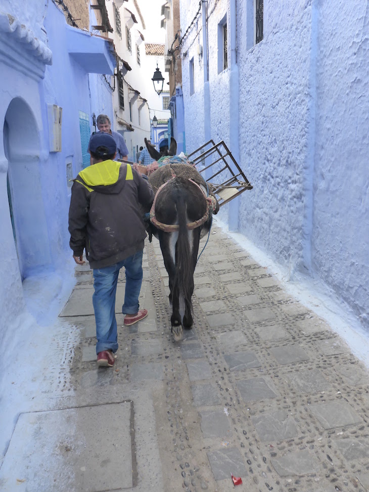 Burros nas ruas estreitas de Chefchaouen, Marrocos © Viaje Comigo