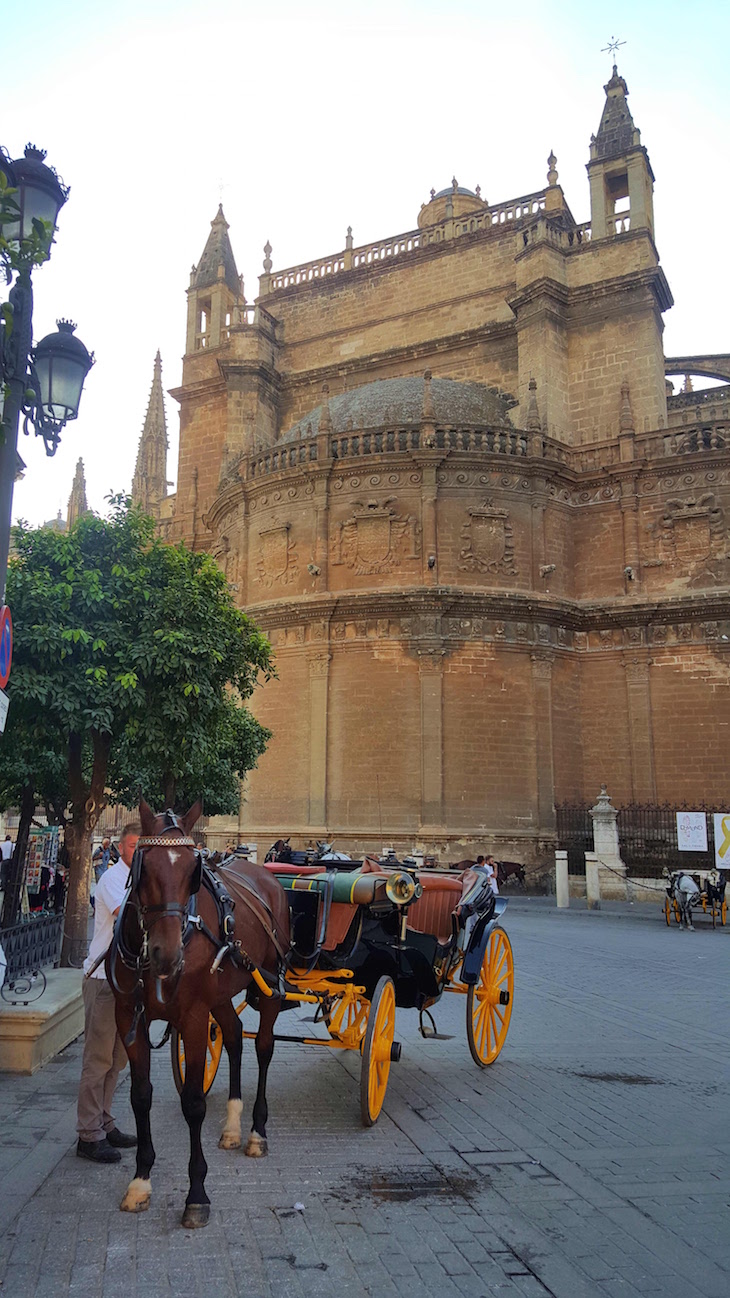 Cavalos frente à Catedral de Sevilha © Viaje ComigoCavalos frente à Catedral de Sevilha © Viaje Comigo