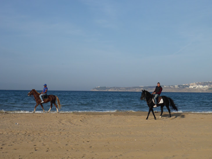 Cavalos na praia - Tânger Marrocos © Viaje Comigo