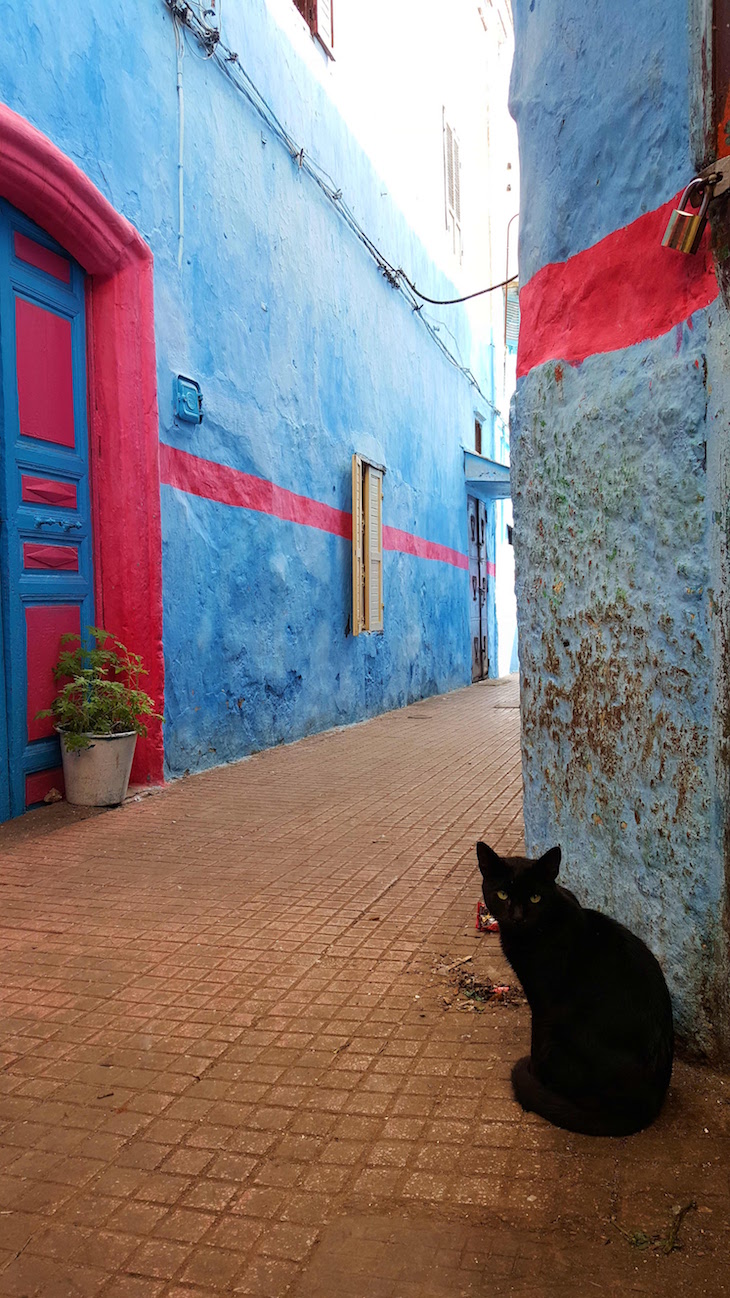 Medina de Rabat, Marrocos © Viaje Comigo