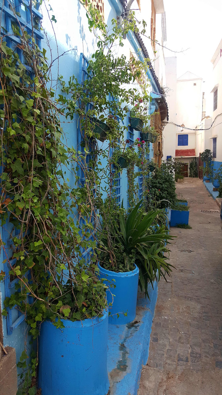 No Kasbah dos Oudayas, Rabat, Marrocos © Viaje Comigo