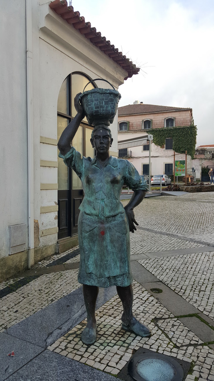 Praça dos Segadores - Macedo de Cavaleiros © Viaje Comigo