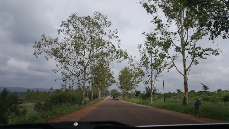 Estrada para a Namaacha, Moçambique © Viaje Comigo