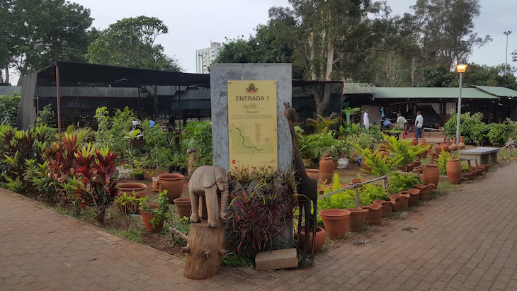 Plantas na Feira de Artesanato de Maputo © Viaje Comigo