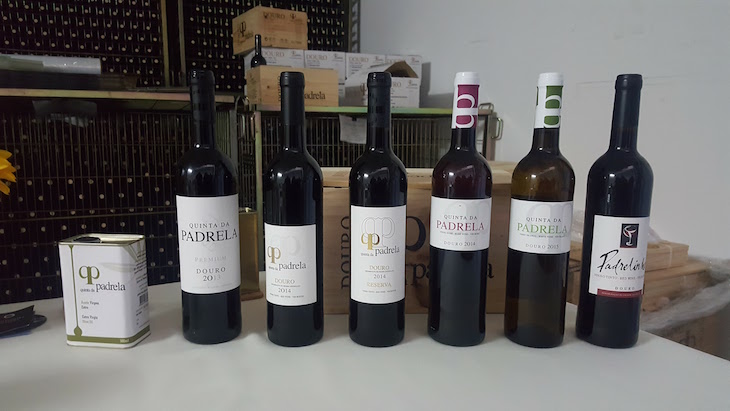 Vinhos da Quinta da Padrela © Viaje Comigo