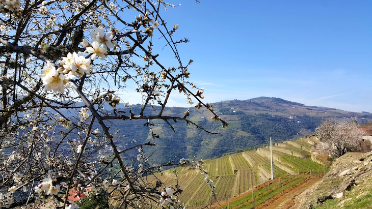 Na estrada para Casal de Loivos - Alijó - Douro © Viaje Comigo