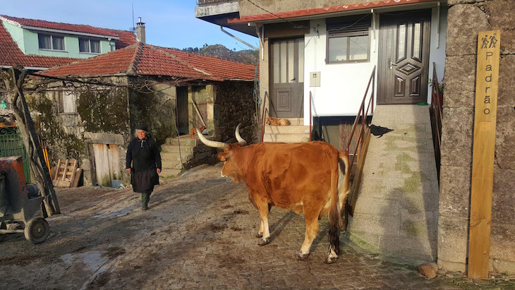 Lugar de Padrão - Arcos de Valdevez © Viaje Comigo