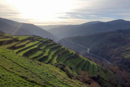 Sistelo - Arcos de Valdevez © Viaje Comigo