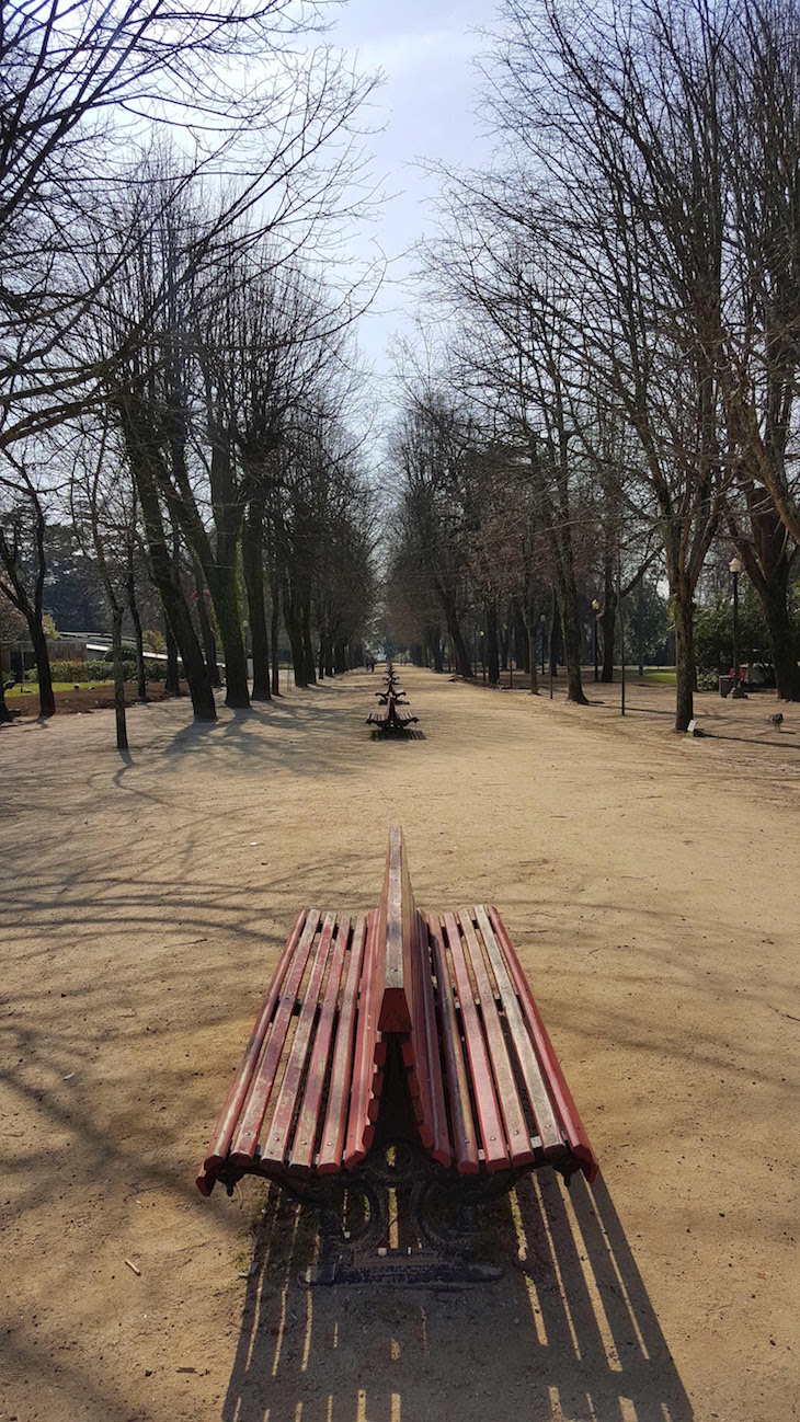 Avenida das Tílias - Palácio de Cristal - Porto © Viaje Comigo