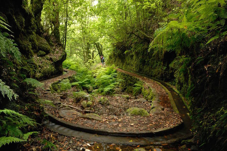 Levadas © Visit Madeira