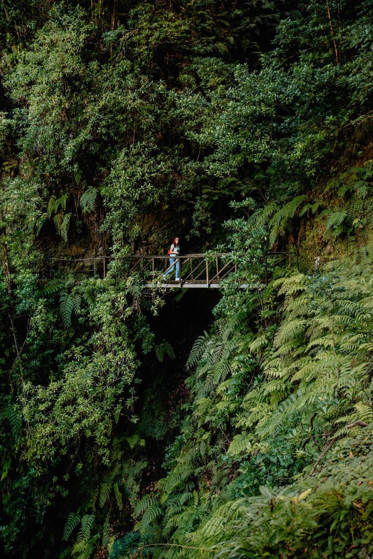 Madeira © Visit Madeira