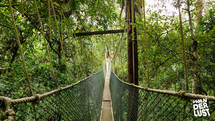 Taman Negara © thewanderlust