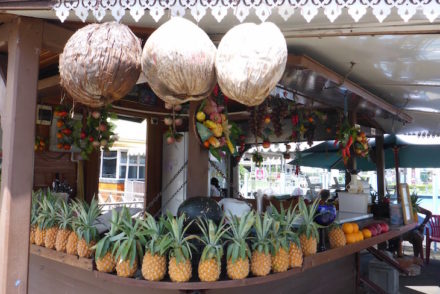 Ananases das Maurícias © Viaje Comigo