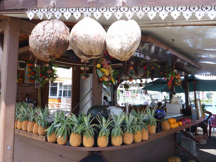 Ananases das Maurícias © Viaje Comigo