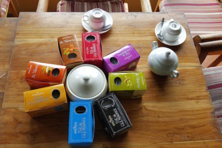 Provas de chá em Bois Chéri, Ilhas Maurícias © Viaje Comigo