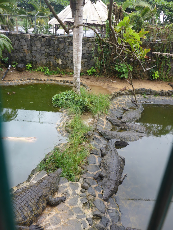 La Vanille Nature Park, Ilhas Maurícias © Viaje Comigo