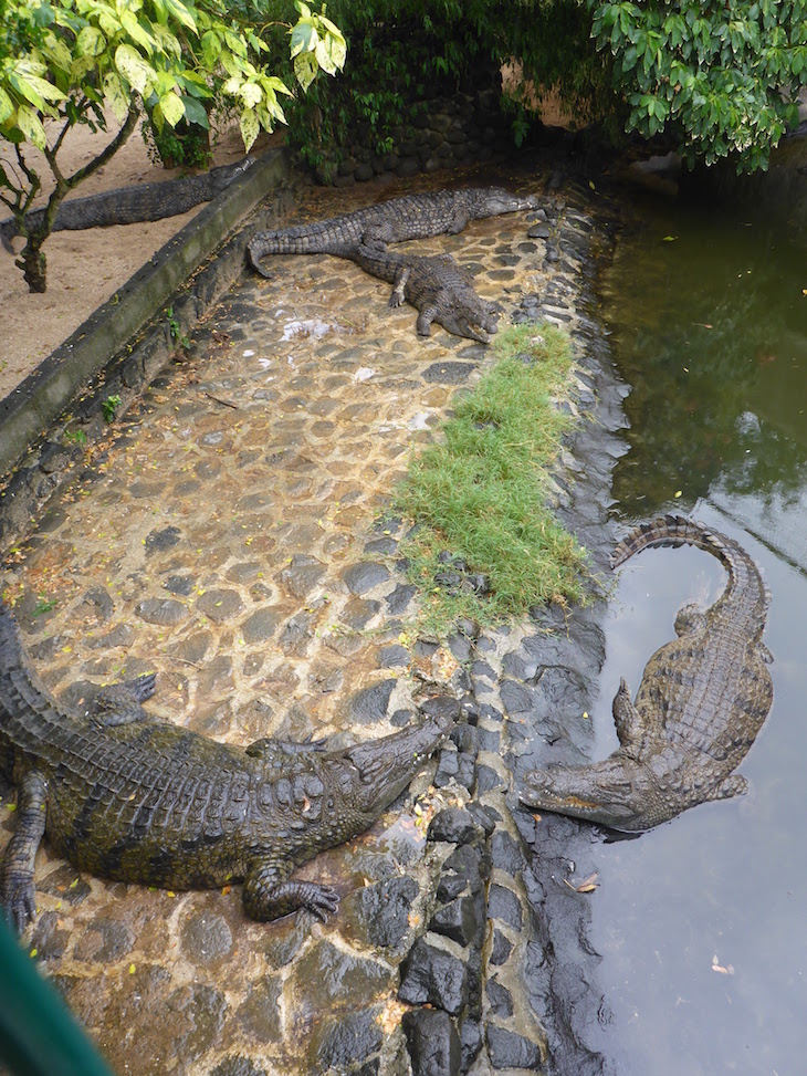 La Vanille Nature Park, Ilhas Maurícias © Viaje Comigo