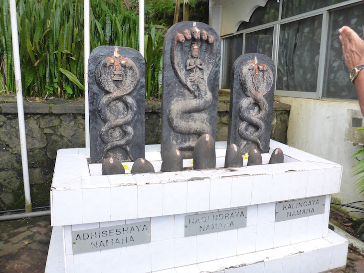 Templo Ganga Talao - Ilhas Mauricias © Viaje Comigo