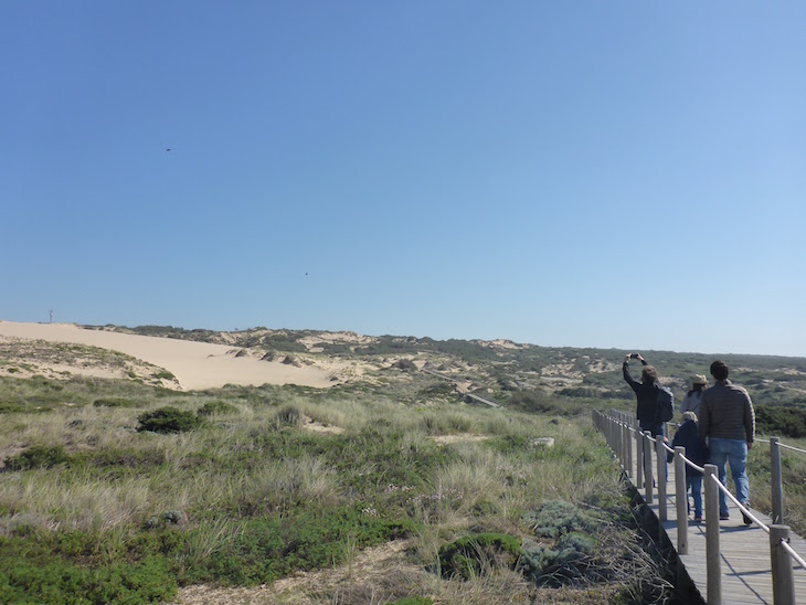 Núcleo de Interpretação da Duna da Cresmina © Viaje Comigo