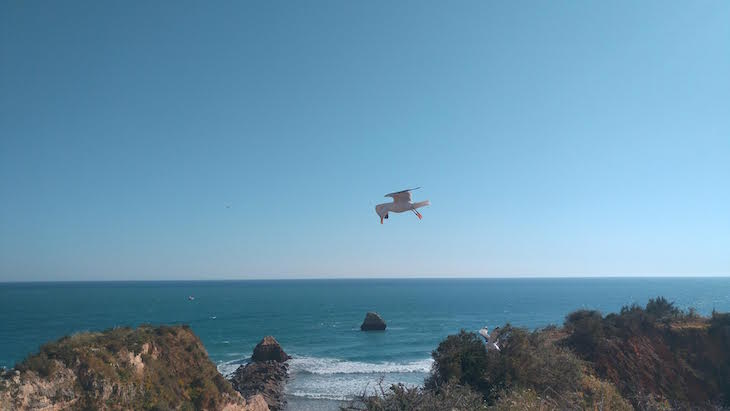 Na praia da Rocha - Portimão - Algarve © Viaje Comigo