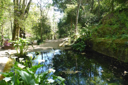 Caldas de Monchique © Viaje Comigo