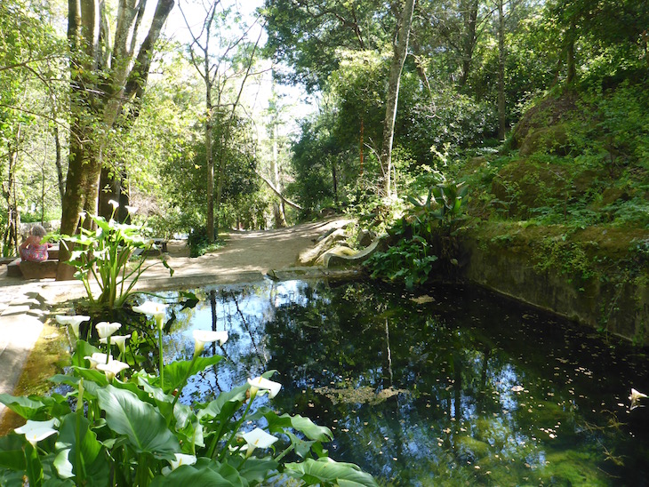 Caldas de Monchique © Viaje Comigo