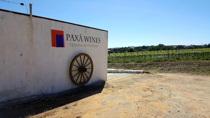 Paxá Wines - Algarve © Viaje Comigo