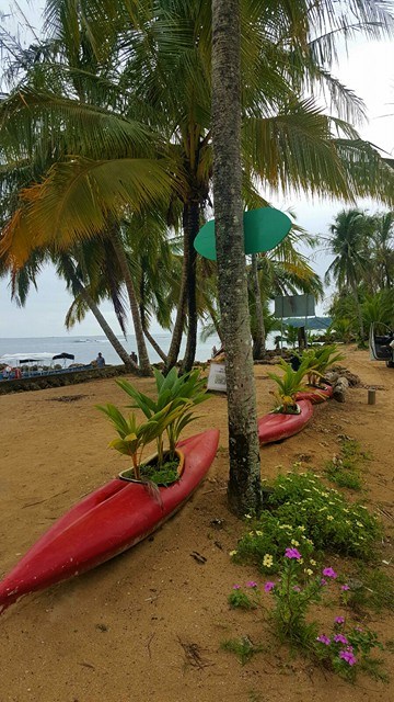 Boca del Drago, Bocas del Toro, Panamá © Viaje Comigo