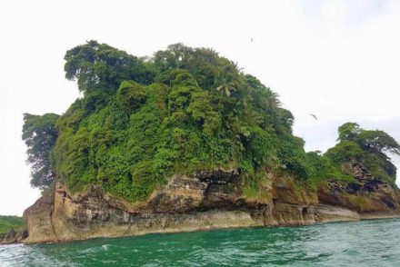 A Ilha dos Pássaros, Bocas del Toro, Panamá © Viaje Comigo