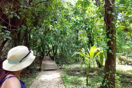 Isla Bastimentos, Bocas del Toro, Panamá © Viaje Comigo