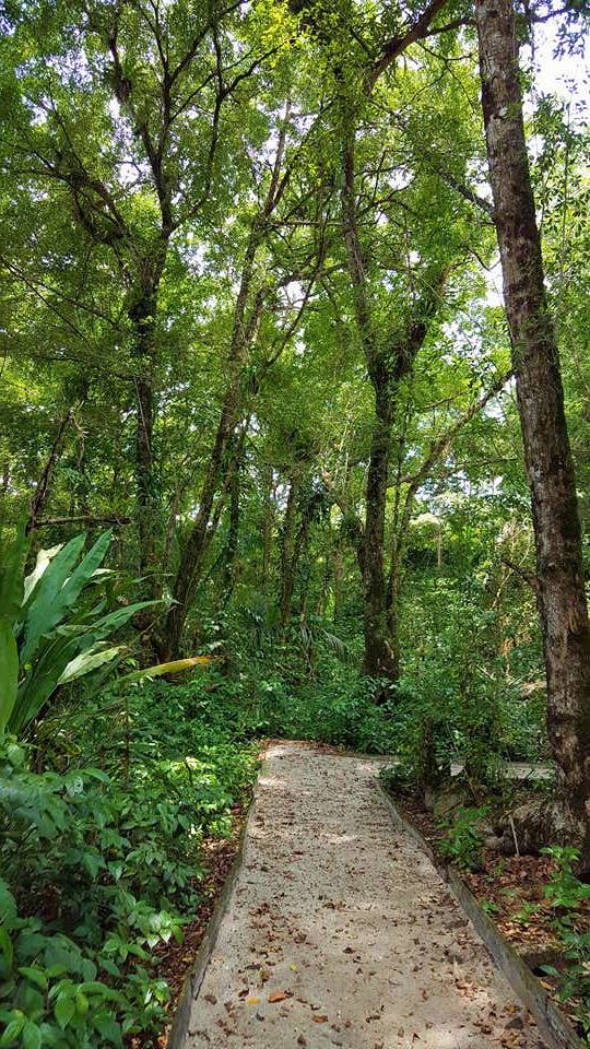 Isla Bastimentos, Bocas del Toro, Panamá © Viaje Comigo