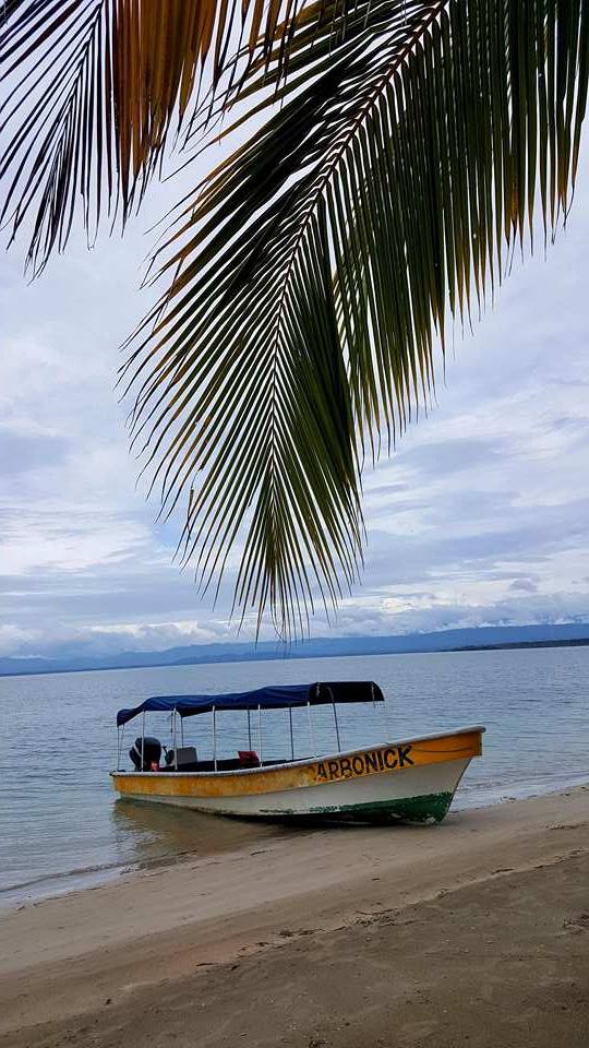 Playa de las Estrellas, Isla Colón, Panamá © Viaje Comigo