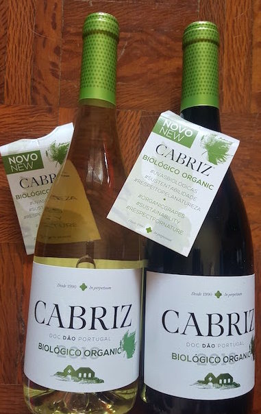 Novos vinhos da Cabriz © Viaje Comigo